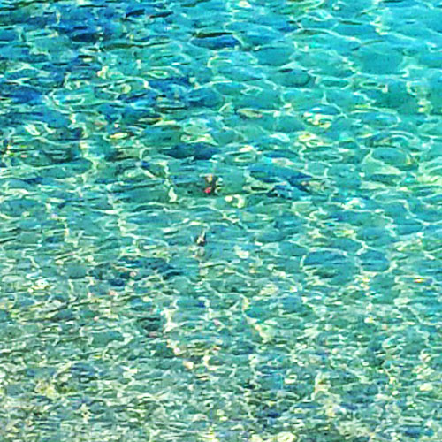 Antares Primera Dufour Gibsea 43