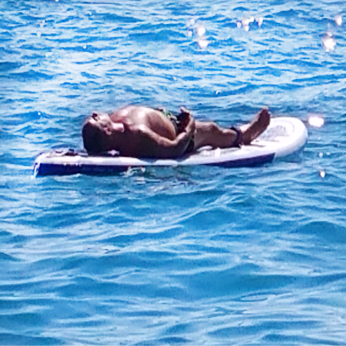 Antares Primera Dufour Gibsea 43